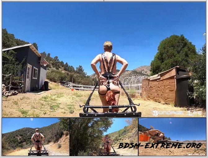 Pony Cart Ride With Rachel Greyhound (2020/HD) [Bondage Life]